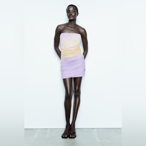 Zara Lilac & Beige Ruched Draped Mesh Mini Dress - Picture 3 of 15
